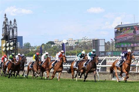 Melbourne Cup 2023 fave revealed .
